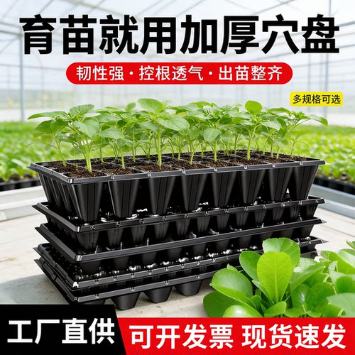 农用育苗穴盘西瓜玉米育苗盘园艺