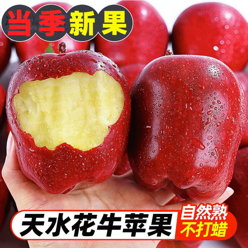 耀聪甘肃天水花牛苹果新鲜大水果