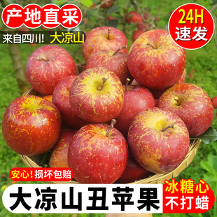 大凉山冰糖心丑苹果水果新鲜当季整箱10斤四川盐源红富士苹果包邮