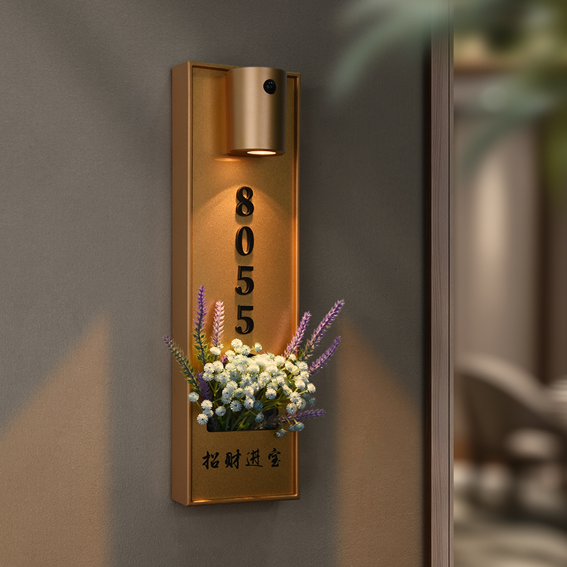 索迩夫亚克力插花感应灯家用门牌