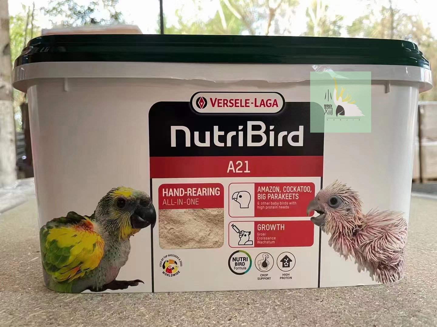 凡赛尔鹦鹉奶粉鹦鹉饲料