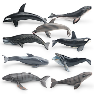 儿童认知仿真灰鲸虎鲸抹香鲸斑点海豚蓝鲸海洋动物模型摆件