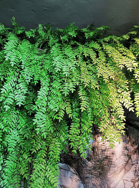仿真豆槐叶壁挂室内客厅墙壁绿植墙面装饰植物墙假花大型吊篮壁饰