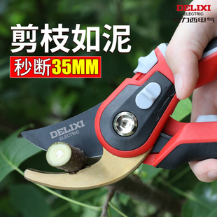 德力西修枝剪花剪园艺剪枝果树修枝剪子园林枝剪修剪树枝专用剪刀