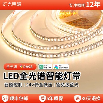 灯光明媚24V低压LED灯带