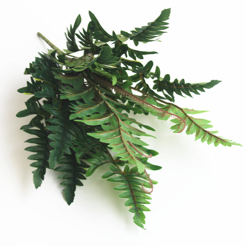 田园假花绿植盆栽蕨类植物婚庆装饰摆放叶子蕨草蕨叶波斯草波斯叶