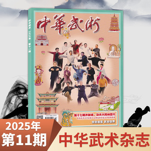 【正版现货】中华武术杂志2025年11/10月  体育类期刊