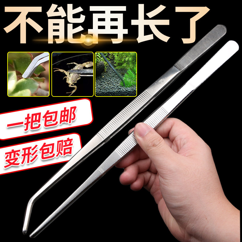 镊子加长取物捉逮抓蝎子工具夹子鱼缸喂龟食直弯头不锈钢大镊子