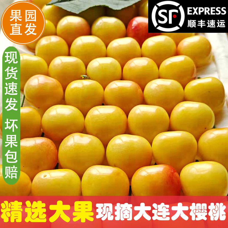 新品现货大连黄水晶大樱桃顺丰