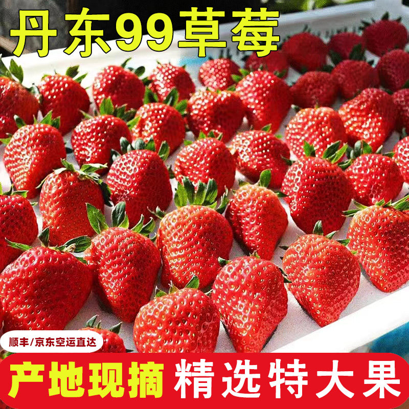 丹东99草莓东港马家岗红颜九九新鲜现摘牛奶油大草莓孕妇水果应季,水产肉类/新鲜蔬果/熟食,草莓,淘宝优惠券,粉丝福利购,淘宝优惠卷
