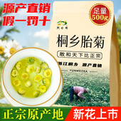菊花茶桐乡胎菊王正宗特产级杭白菊散装 头采新花冲泡贡菊花草茶叶