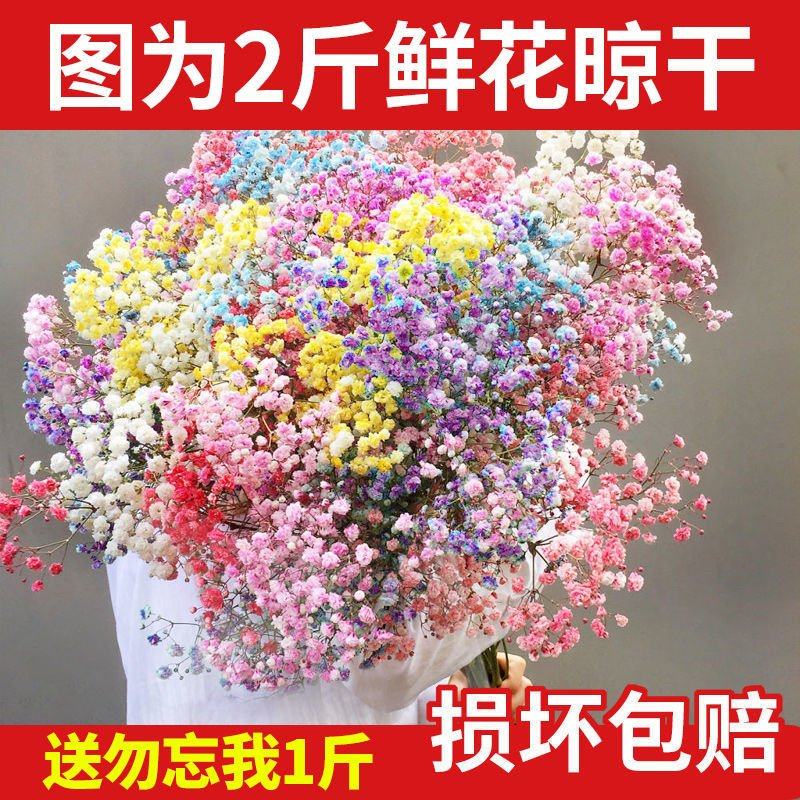 云南大束满天星干花花束客厅插花摆件ins地摊零售创业勿忘我称斤