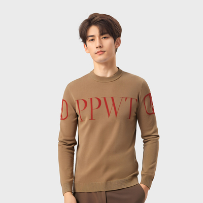 pleikpholppe 普莱克翡丽男装2024冬季新款时尚休闲百搭羊毛衫男