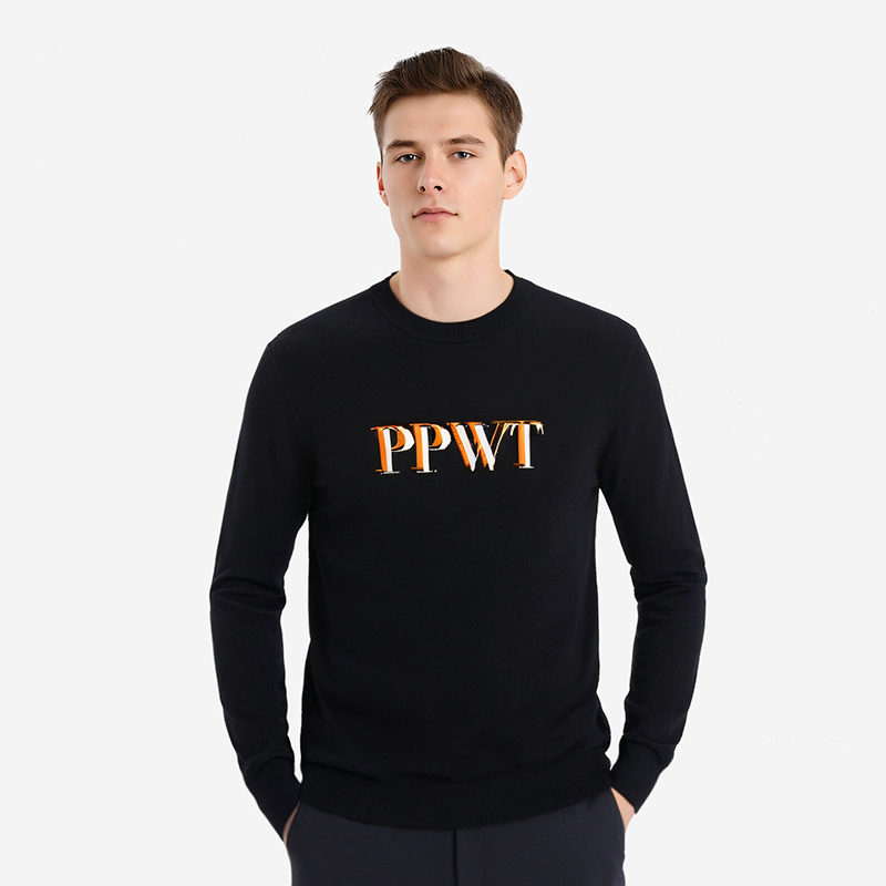 pleikpholppe普莱克翡丽2024冬季新款休闲圆领打底毛衣男士羊毛衫