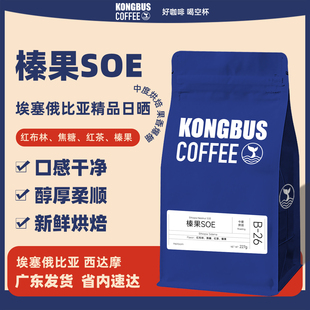 空杯巴士精品埃塞俄比亚榛果soe西达摩中烘焙日晒手冲咖啡豆227g