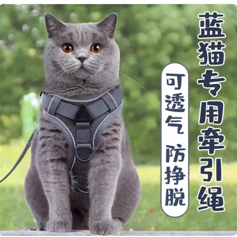 蓝猫牵引绳背心胸背可调节英短蓝白猫遛猫绳子防挣脱外出炼子