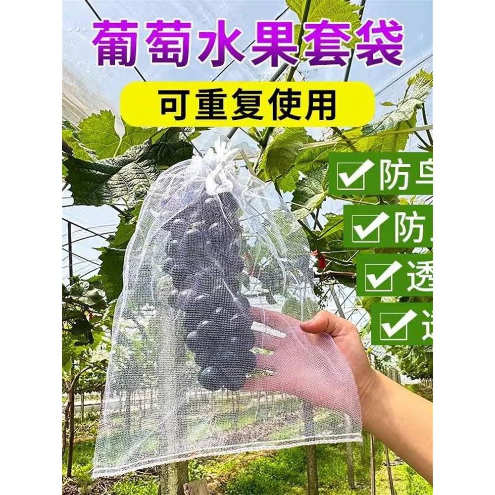 西瓜套袋专用袋防虫防鸟神器网纱果袋香瓜哈密瓜果蔬户外保护套袋