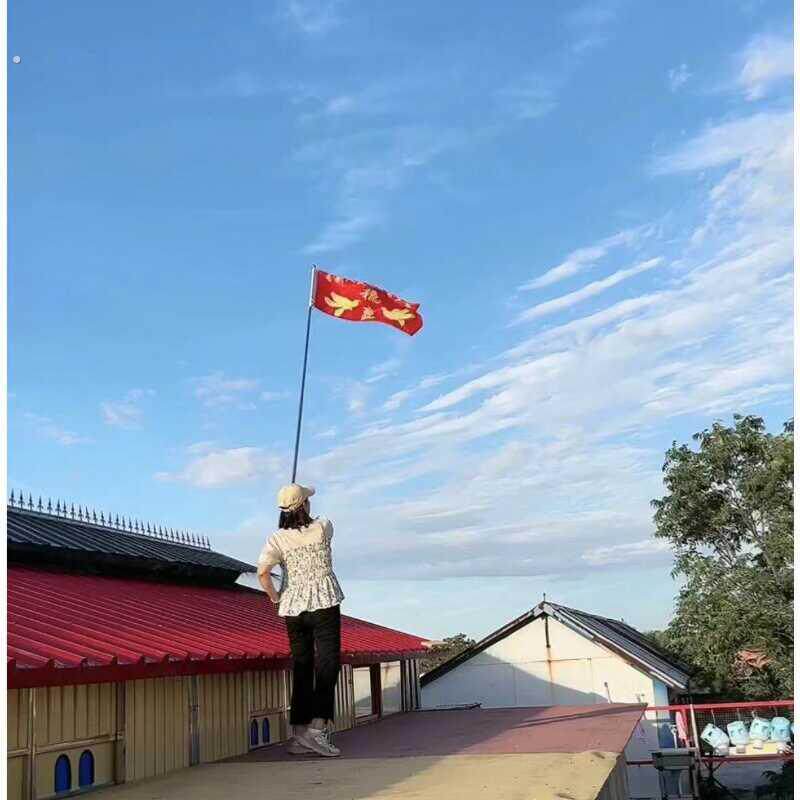 鸽子家飞神器玻璃钢旗杆不锈钢伸缩杆驱赶赛鸽信鸽训飞操练旗杆