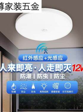 人体感应吸顶灯智能光控防尘防潮防蚊防虫走廊楼道过道车库灯