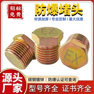 2不锈钢防爆闷盖 现货防爆堵头4分6分镀锌碳钢防爆丝堵外螺纹G1