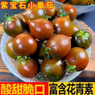 福建紫春桃小番茄紫宝石圣女果巧克力小西红柿应季水果3-5斤包邮