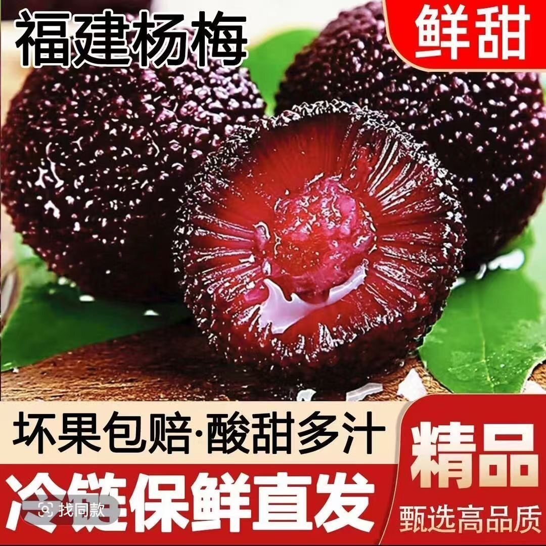 【顺丰包邮】福建浮宫杨梅新鲜杨梅孕妇水果当季早梅现货现摘