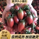 紫子弹头小番茄新鲜圣女果组合小西红柿当季 包邮 水果3 5斤现摘