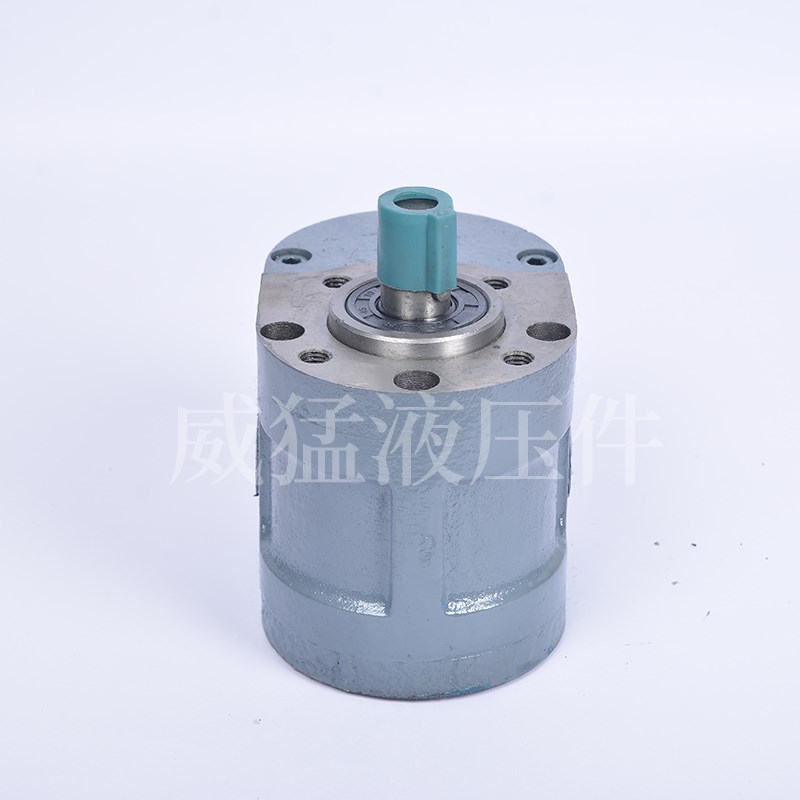 齿轮油泵HY01-100X2570*25杭州平面磨床M7130 M7132 M7140液压泵B