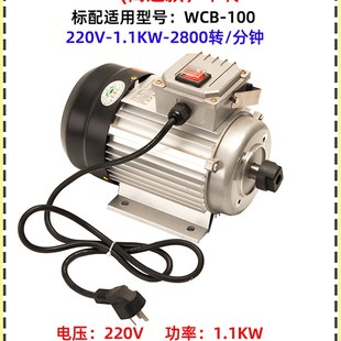 正反转WCB齿轮泵电机自吸式 齿轮泵不锈钢电动抽油泵柴油220V380V