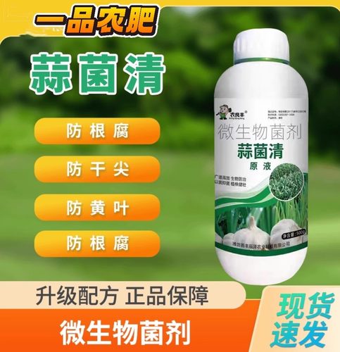 蒜菌清原液葱姜蒜菌清大蒜专用干尖黄叶根腐病杀菌一扫净叶面肥料
