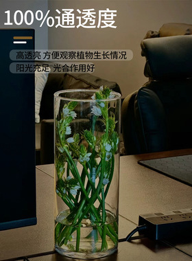 亚克力花瓶轻奢高级感ins风客厅鲜花插花摆件情绪稳定2025新款