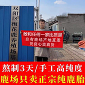 吉林本地梅花鹿胎鹿参膏鹿胎粉盘鹿胎胶囊鹿血高纯度600g鹿场直供