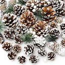 天然干松果松塔 饰圣诞树挂件拍摄道具DIY材料 棉花头松针圣诞节装