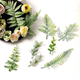 仿真植物叶子 玫瑰叶花草 diy手作花环胸花花墙草帽花手腕花配件
