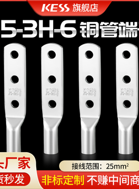 25-3H-6三孔铜鼻子25接线电缆接头铜线接线端子