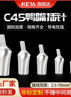 C45-4/6/10/16/25/35/50/70/95接线端子鸭嘴舌接线鼻插针国标
