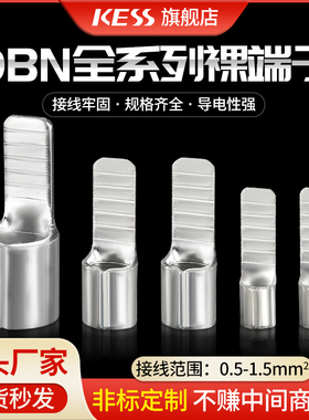DBN1.25-10片形裸端头线耳冷压接线端子片型插针插片紫铜