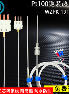 Pt100热电阻WZPK-191铠装温度传感器可弯曲探头耐高温镀银四氟线