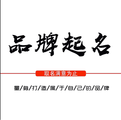 起名人工宝宝起名字取名字改名公司店铺商标新生婴儿小孩起名取名