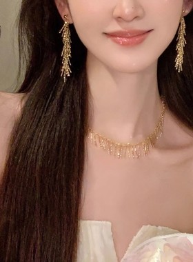 超仙长流苏小穗穗气质耳坠女高级感显瘦时尚气质925银针耳环饰品