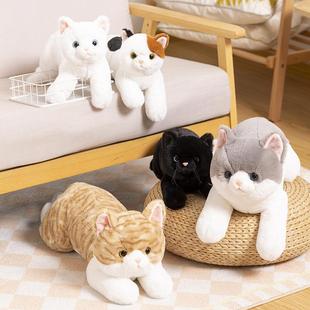 饰公仔儿童陪伴抱枕礼物仿真猫玩偶 小猫咪毛绒玩具家用沙发汽车装