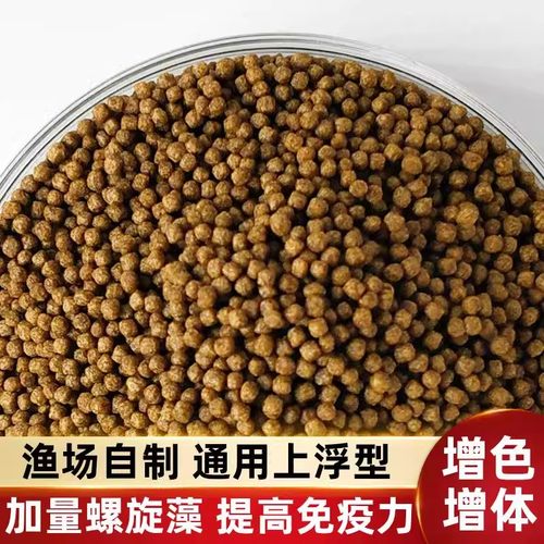 沃好快蝴蝶鲤专用饲料高蛋白饲料上浮型小颗粒观赏鱼粮