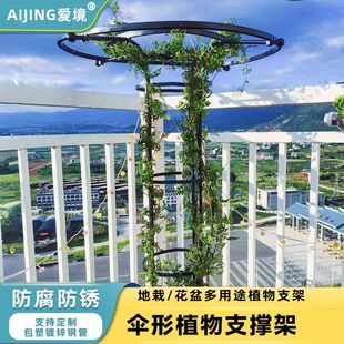 伞形花架子攀爬支架月季爬藤架园艺阳台庭院支撑杆户外玫瑰花架子