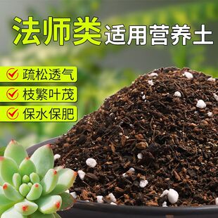 【法师类专用土】疏松透气盆栽绿植专用室内植物有机营养土肥料