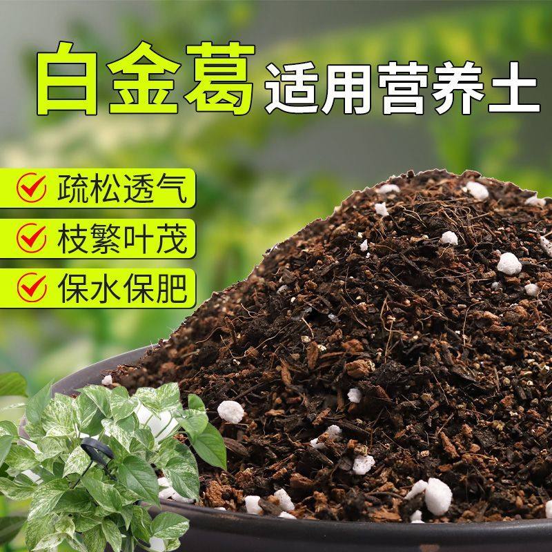 【白金葛专用土】疏松透气盆栽绿植专用室内植物有机营养土肥料,鲜花速递/花卉仿真/绿植园艺,介质/营养土,淘宝优惠券,粉丝福利购,淘宝优惠卷