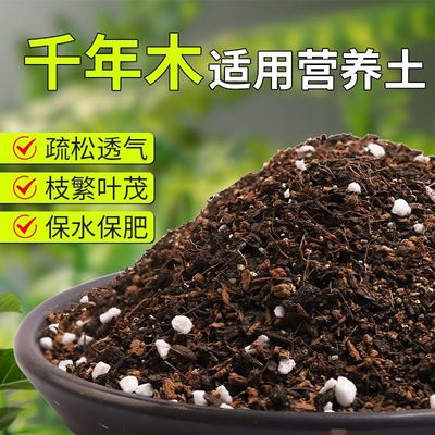 【千年木专用土】疏松透气盆栽绿植专用室内植物有机营养土肥料