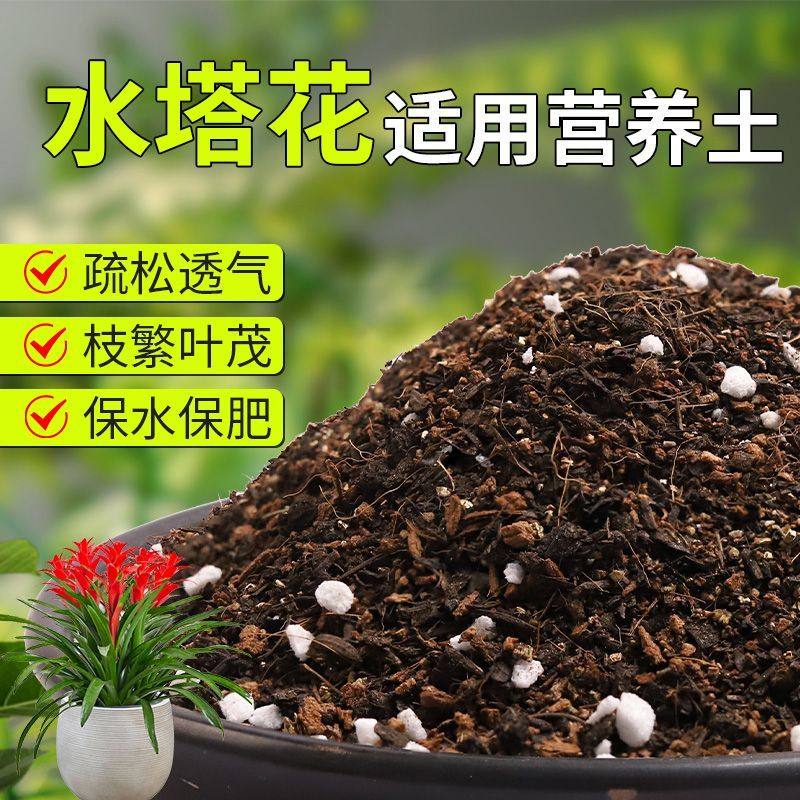 【水塔花专用土】疏松透气盆栽绿植专用室内植物有机营养土肥料,鲜花速递/花卉仿真/绿植园艺,介质/营养土,淘宝优惠券,粉丝福利购,淘宝优惠卷