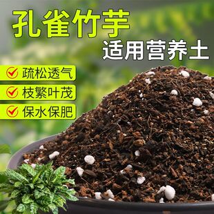 【孔雀竹芋专用土】疏松透气盆栽绿植专用室内植物有机营养土肥料