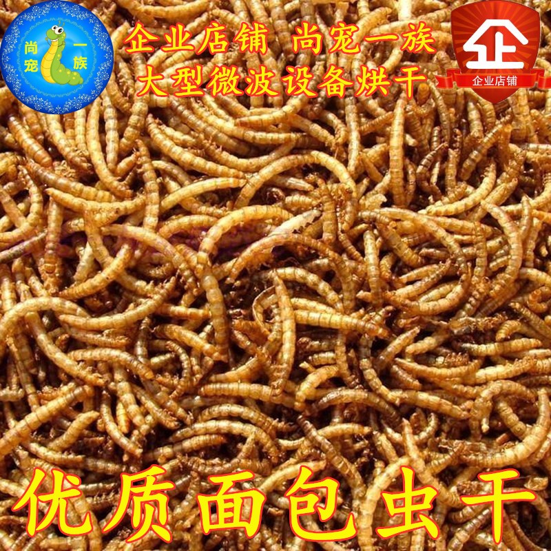 面包虫干黄粉虫干500克一斤鸟龙鱼地图罗汉龟鳖仓鼠粮食零食包邮
