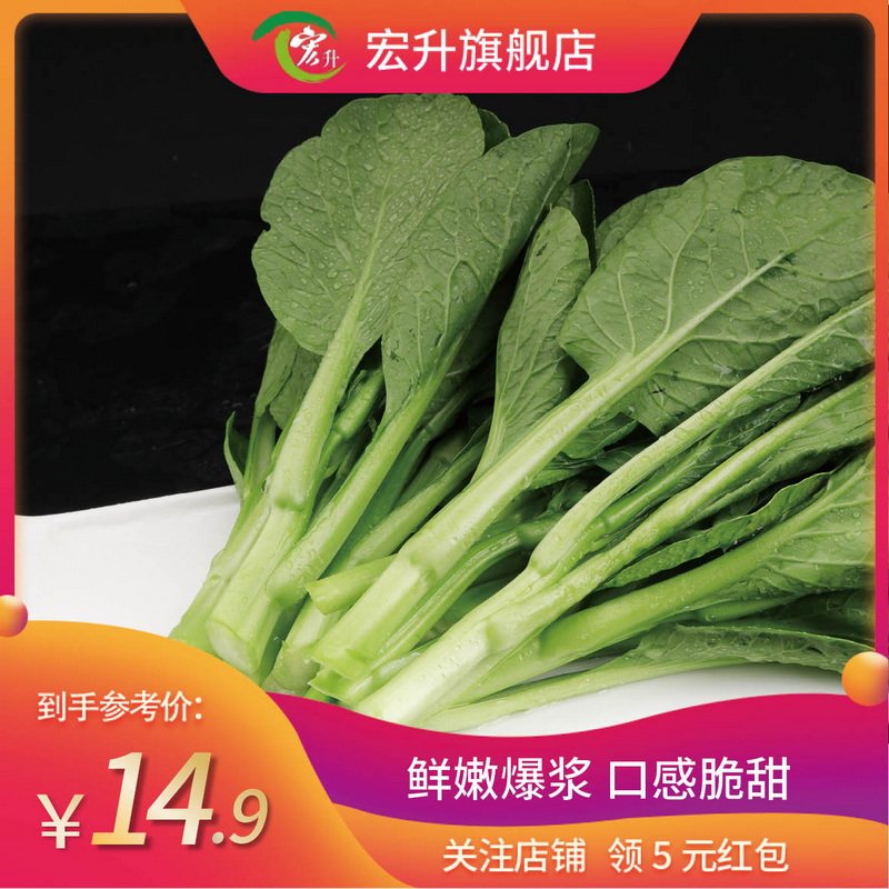 宏升  宁夏菜心苗 小菜心 菜薹苗 时令菜 广州新鲜蔬菜配送500g